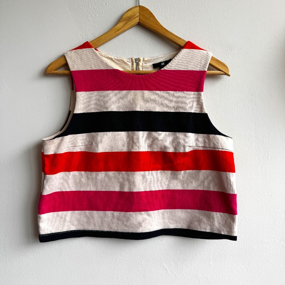 H&M Mod Striped Crop Top - Medium